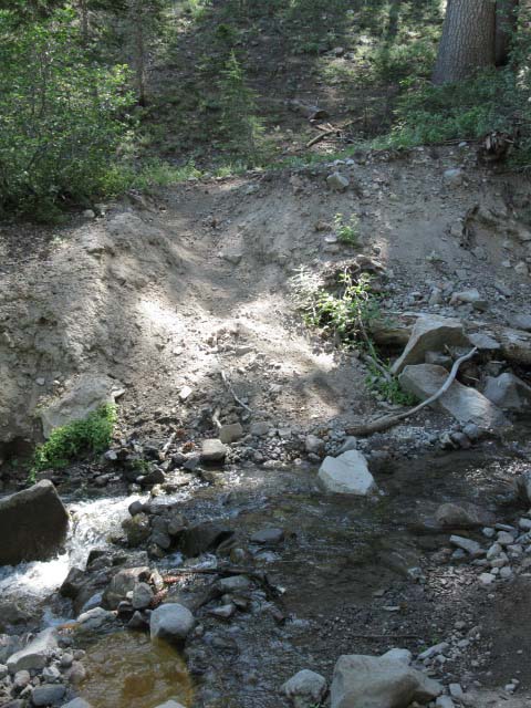South trib of Wolf Creek